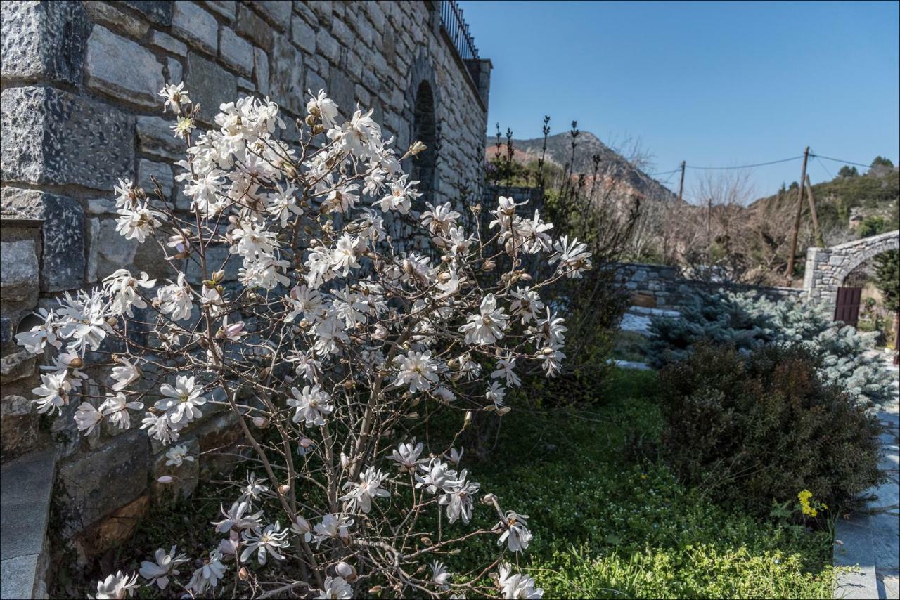 ミストラ Stone Mansion Anavryti, Αμα 20569ヴィラ エクステリア 写真